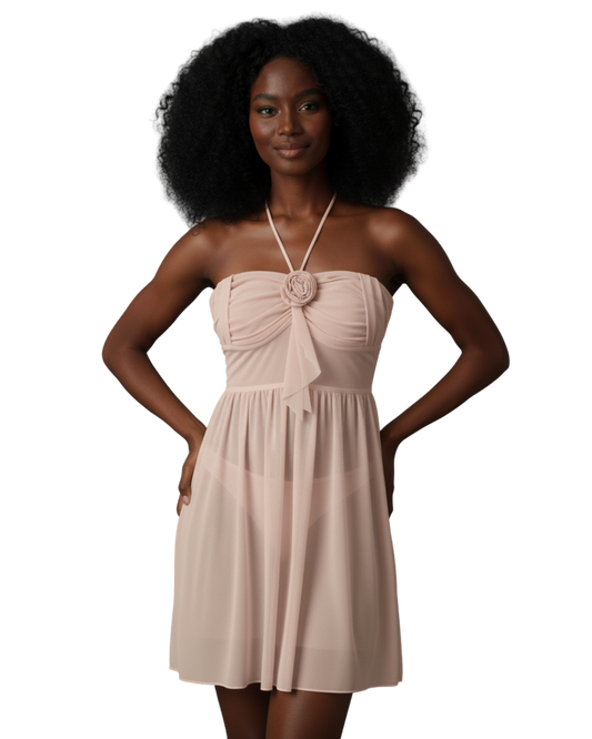 Afterglow Rose Lace Halter Mesh Dress – Pink