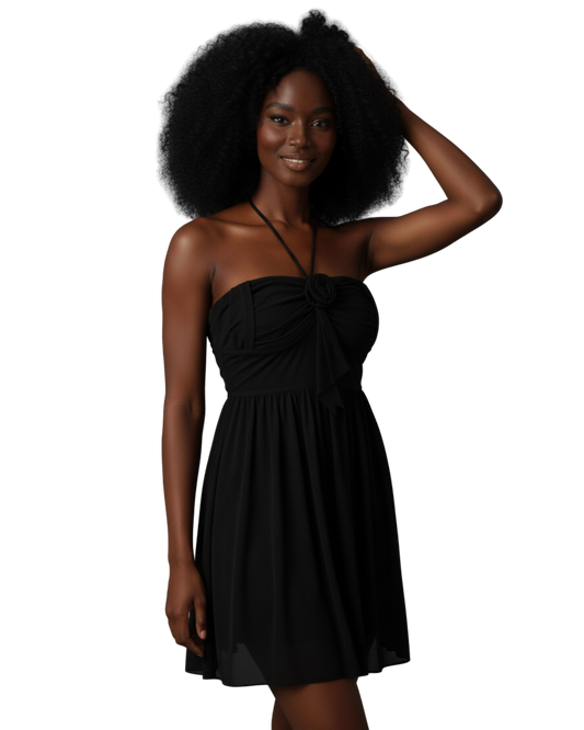 Afterglow Rose Lace Halter Mesh Dress – Black