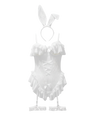 Velvet Bunny Mesh Bodysuit Set – White